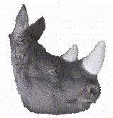 Rhino Neckerchief Slide (Woggle)